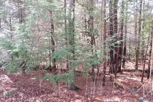 47 Fogg Rd, Epping, NH 03042 - Photo 29