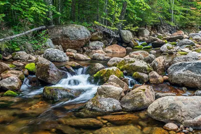 20 Meloon Road, Jackson, NH 03846 - Photo 3