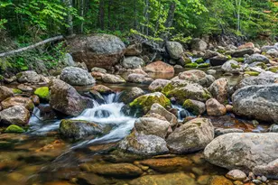 20 Meloon Rd, Jackson, NH 03846 - Photo 3