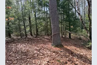 000 Ruonala Road, Milford, NH 03055 - Photo 7