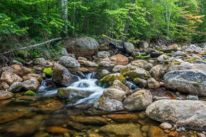 20 Meloon Road, Jackson, NH 03846 - Photo 1