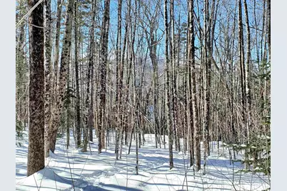 00 Tin Mine Road #V08-25-03, Jackson, NH 03846 - Photo 33