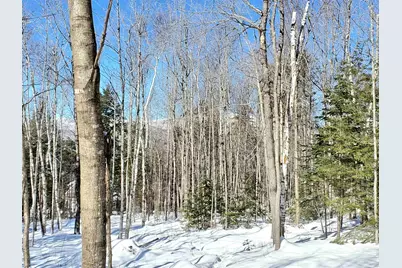 00 Tin Mine Road #V08-25-03, Jackson, NH 03846 - Photo 1