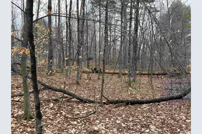 702 Province Road, Belmont, NH 03220 - Photo 15