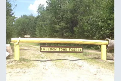 13 Mohegan Run Lane #79, Freedom, NH 03836 - Photo 47