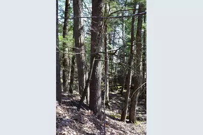 Lot 14 Hanover Drive, Haverhill, NH 03765 - Photo 5