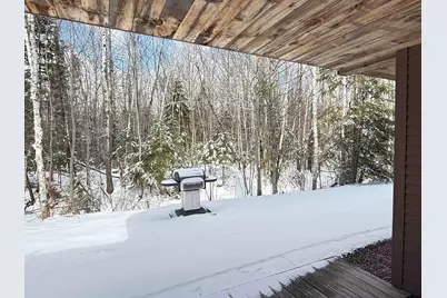 19 Bobcat Way #L-2, Waterville Valley, NH 03215 - Photo 49