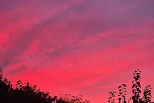 33 Sable Way, Manchester, NH 03102 - Photo 51