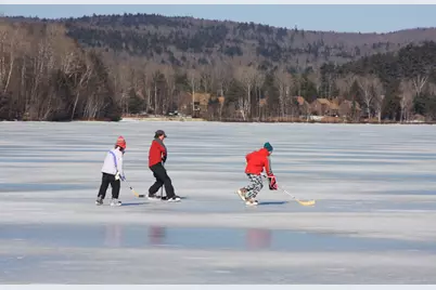 54 Brookridge Drive, Grantham, NH 03753 - Photo 43
