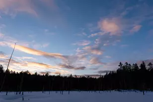 54 Brookridge Dr, Grantham, NH 03753 - Photo 35