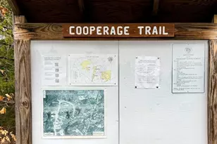 138 Spaulding Rd, Fremont, NH 03044 - Photo 47