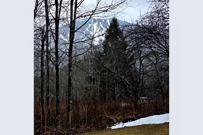600 White School Road, Burke, VT 05832 - Photo 25