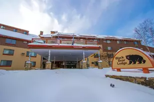 23 Black Bear Rd, Waterville Valley, NH 03215 - Photo 29