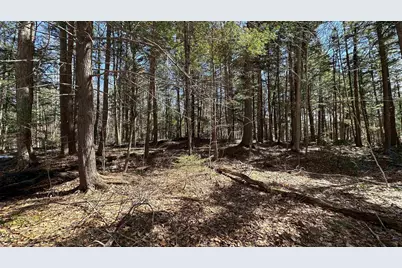 Valley Road, Washington, NH 03280 - Photo 17