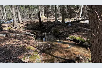 Valley Road, Washington, NH 03280 - Photo 15