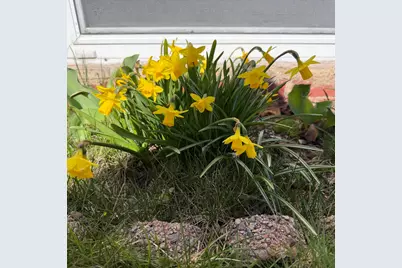 10 Willey Street, Rochester, NH 03867 - Photo 25