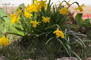 10 Willey St, Rochester, NH 03867 - Photo 25