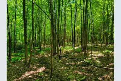 280 Gorham Hill Road, Gorham, NH 03581 - Photo 33