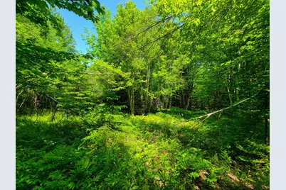 280 Gorham Hill Road, Gorham, NH 03581 - Photo 35