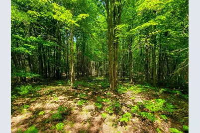 280 Gorham Hill Road, Gorham, NH 03581 - Photo 37