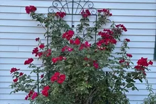 189 Leavitt Rd, Belmont, NH 03220 - Photo 9