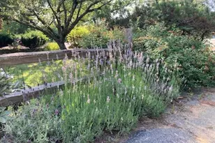 189 Leavitt Rd, Belmont, NH 03220 - Photo 3