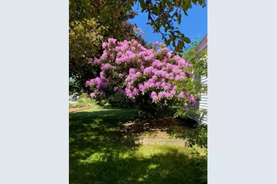 189 Leavitt Road, Belmont, NH 03220 - Photo 49