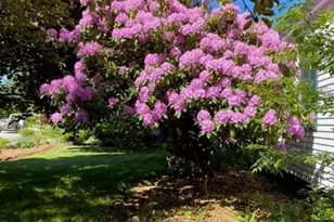 189 Leavitt Rd, Belmont, NH 03220 - Photo 49