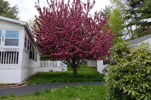 169 Eagle Dr, Rochester, NH 03868 - Photo 43