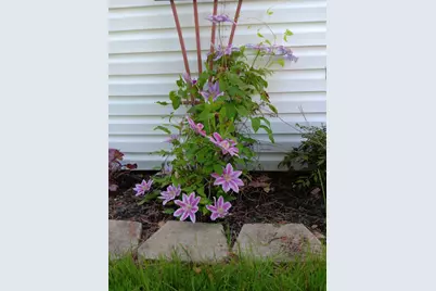 169 Eagle Drive, Rochester, NH 03868 - Photo 45