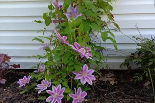 169 Eagle Dr, Rochester, NH 03868 - Photo 45