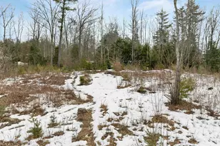 35 Susie Ln, Thornton, NH 03285 - Photo 49