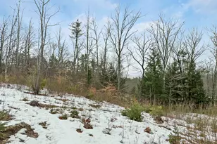 35 Susie Ln, Thornton, NH 03285 - Photo 55