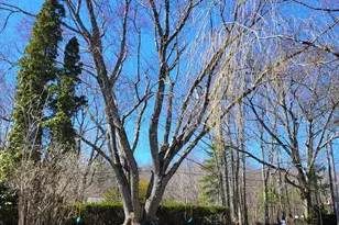 55 Lane Rd, Chichester, NH 03258 - Photo 27