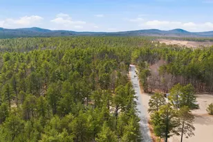 556 Pine River Pond Rd, Wakefield, NH 03872 - Photo 35