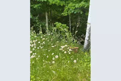 420 Gale Chandler Road, Landaff, NH 03585 - Photo 29