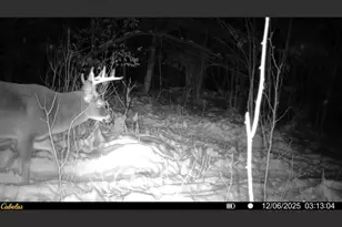 535 Old Turnpike Rd, Salisbury, NH 03268 - Photo 31