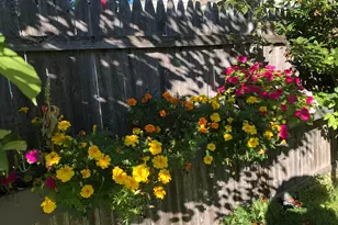 12 Fernand St, Manchester, NH 03103 - Photo 29