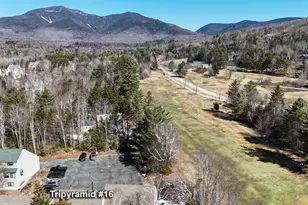 14 Tripyramid Way, Waterville Valley, NH 03215 - Photo 25