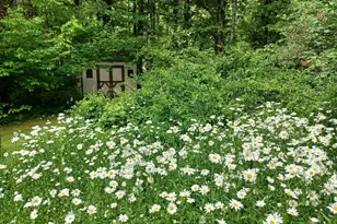 52 Mason Rd, Brookline, NH 03033 - Photo 37