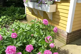 27 Pine St, Peterborough, NH 03458 - Photo 53