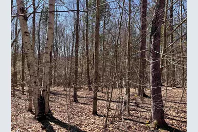 52 Duncan Road, Hancock, NH 03449 - Photo 51