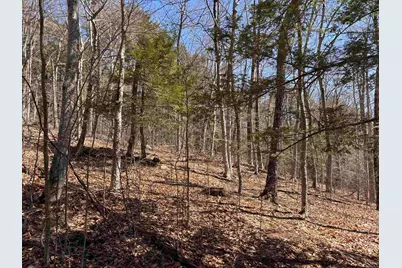 52 Duncan Road, Hancock, NH 03449 - Photo 39