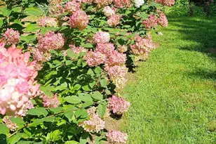 425 Pleasant St, Rollinsford, NH 03869 - Photo 49