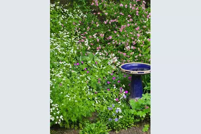 425 Pleasant Street, Rollinsford, NH 03869 - Photo 43