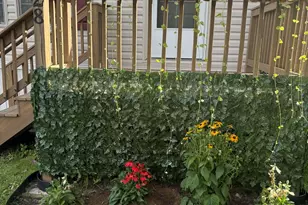 28 Emile Dr, Allenstown, NH 03275 - Photo 3