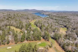 14 Greensward Dr, Grantham, NH 03753 - Photo 41