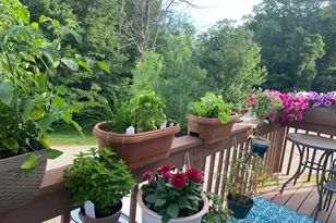 501 Bean Hill Rd, Northfield, NH 03276 - Photo 17