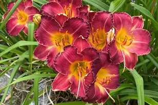 533 Juniper Hill Rd, Stoddard, NH 03464 - Photo 27