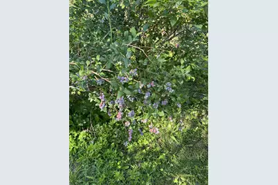 533 Juniper Hill Road, Stoddard, NH 03464 - Photo 7